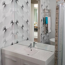 Frameless Glass Showers and Bathroom Mirrors